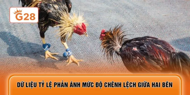 Dữ liệu tỷ lệ phản ánh mức độ chênh lệch giữa hai bên